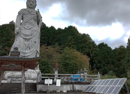 奈良県 壺阪寺 大観音照明